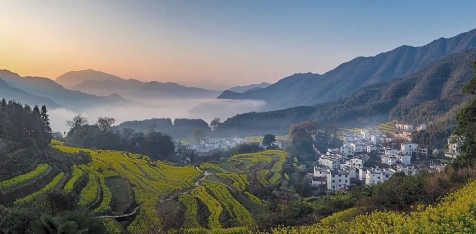 Origem: Província de Jiangxi, China